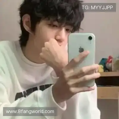 嵇蒙飚